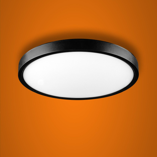 Светильник светодиодный потолочный PNT-101 24W черный iSvet