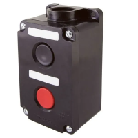Пост кнопочный ПКЕ 222-2 IP54 TDM