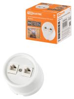 Розетка двойная компьютерная RJ45 белая «Болонь» TDM 