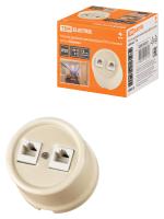 Розетка двойная компьютерная RJ45 сл. кость «Болонь» TDM 