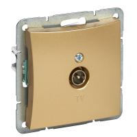 Дуэт Шампань Розетка ТВ оконечная для с/у