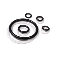 Ремкомплект ПГРс -300 (КВТ)