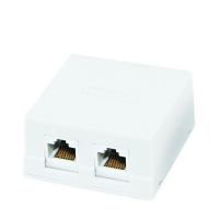 Компьютерная розетка 2xRJ-45 TDM