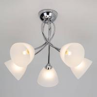 Светильник Оптима - 30117/5 хром