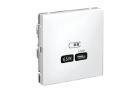 ArtGallery Белый USB Розетка тип-С 65Вт высокоскор.заряд. QC, PD, механизм