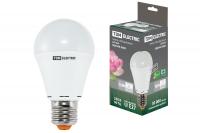 Лампа светодиодная А60 - 12 Вт-220 В -4000 К–E27 TDM