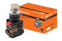 Переключатель АKS-22 с ключом на 2 фиксир.положения I-O 1з+1р ЧЕРНЫЙ TDM