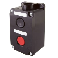 Пост кнопочный ПКЕ 212-2  IP40 TDM
