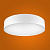 Потолочный светодиодный светильник NST-101 36W 6K IP40 белый круглый iSvet
