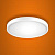 Cветильник светодиодный потолочный PNT-101 18W белый iSvet